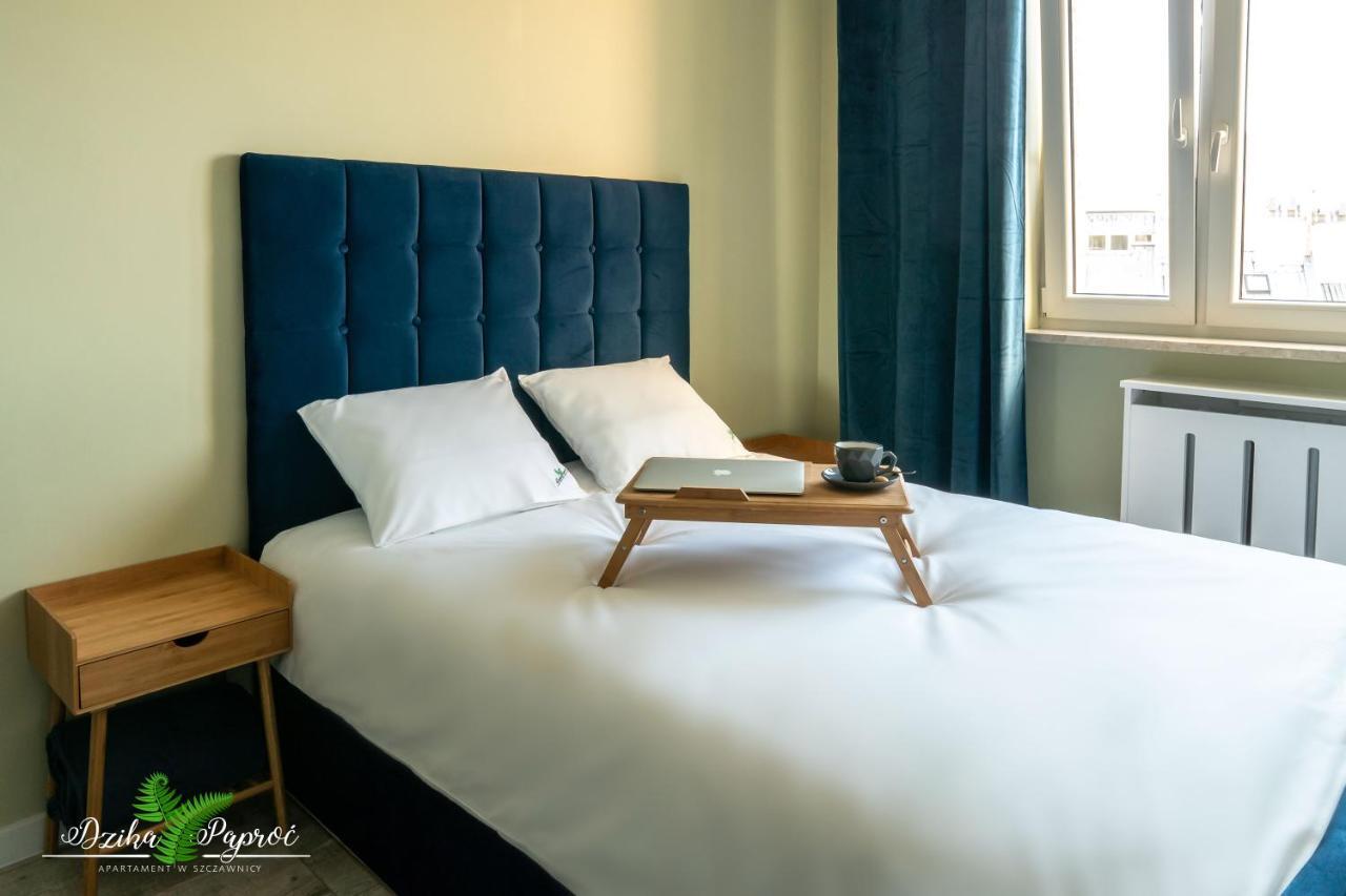 Apartament Dzika Paproc 什恰夫尼察 外观 照片