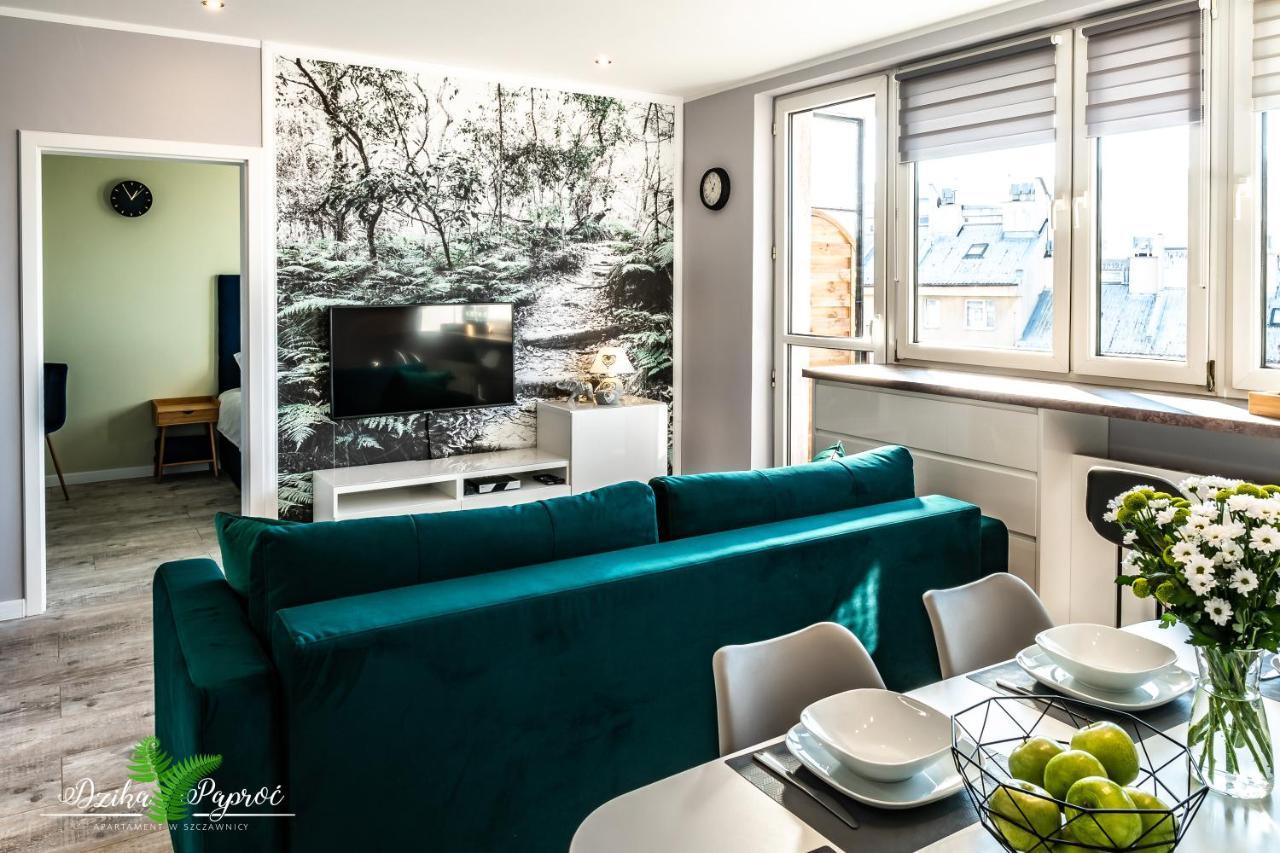 Apartament Dzika Paproc 什恰夫尼察 外观 照片