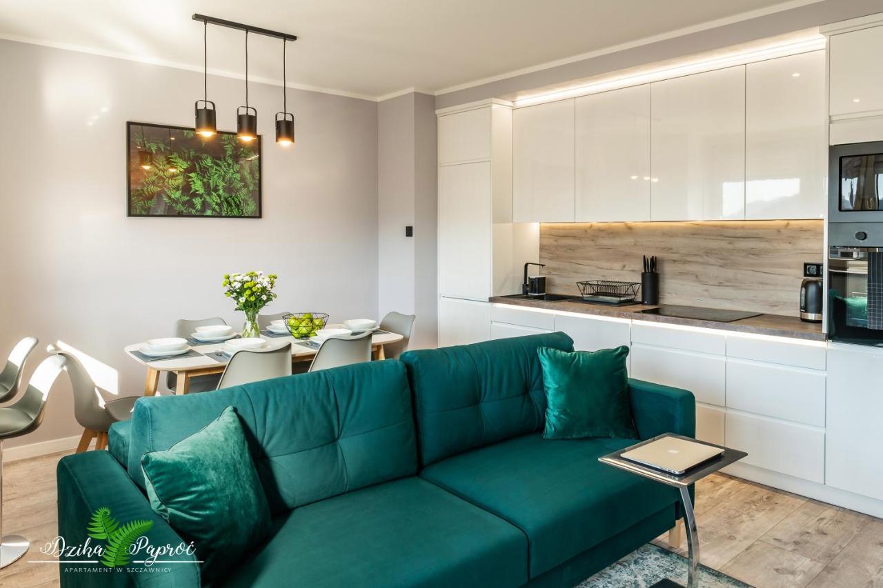 Apartament Dzika Paproc 什恰夫尼察 外观 照片