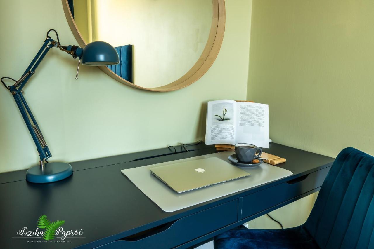 Apartament Dzika Paproc 什恰夫尼察 外观 照片