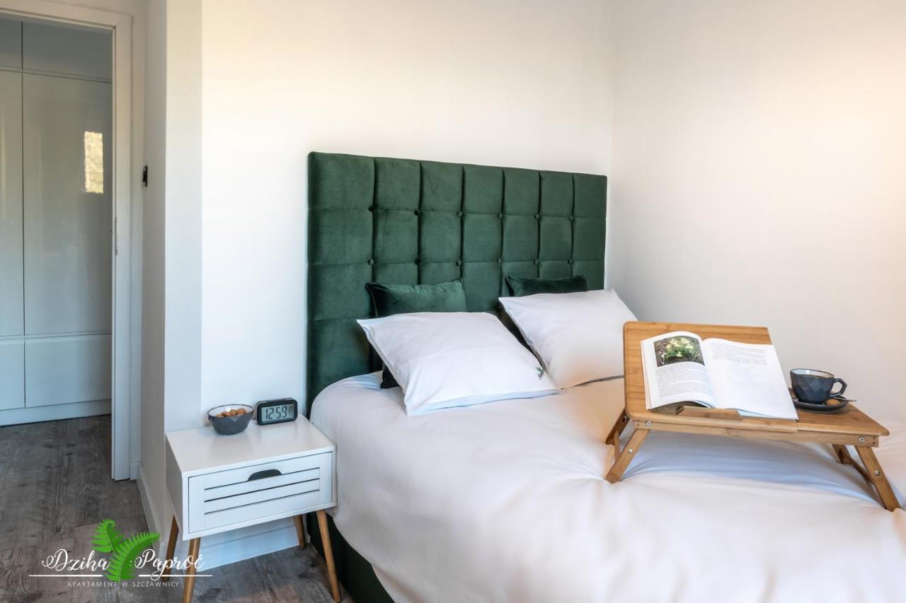 Apartament Dzika Paproc 什恰夫尼察 外观 照片